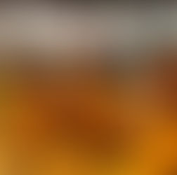 Meet our Project Mentors