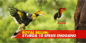 Royal Belum: Syurga 10 Spesis