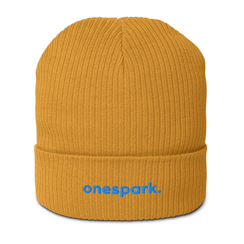 Miniaturbild: Organic 100% ribbed beanie AQUA