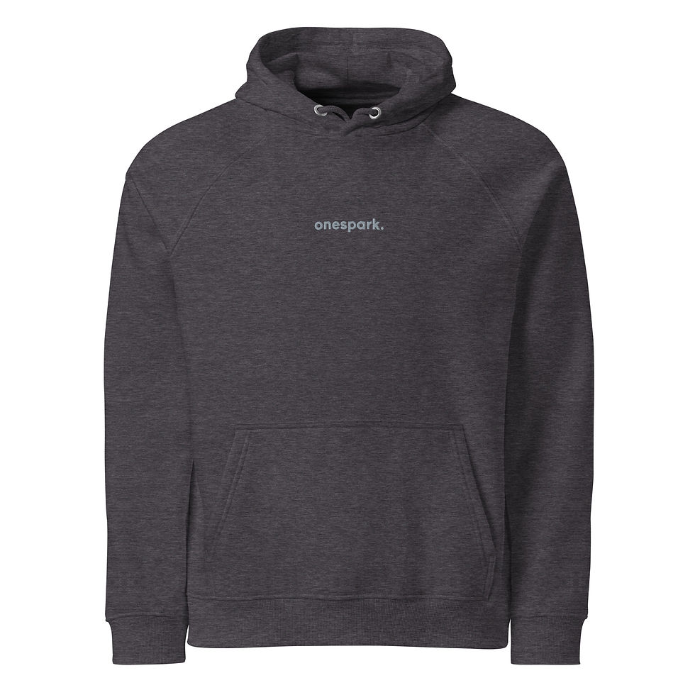 Thumbnail: Eco Raglan Hoodie SILVER