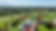 Screenshot (15).png
