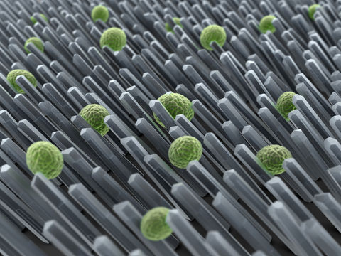 Point-of-Care, Rapid Diagnostics & Lateral Flow Asia 2026