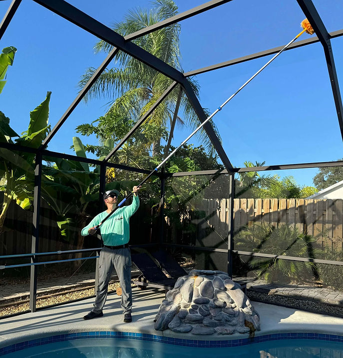 removing spiders from screened in pool