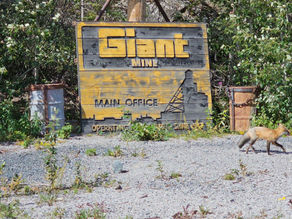 Giant Mine Sign