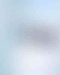 IWC 포르투기저 오토매틱