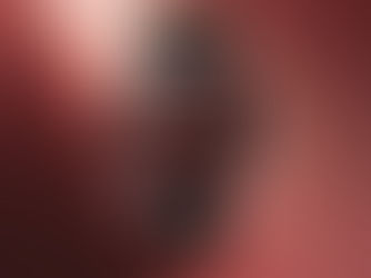 오리스 말의 해 리미티드 에디션