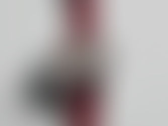 티쏘, PRX 스켈레톤 데미안 릴라드 스페셜 에디션