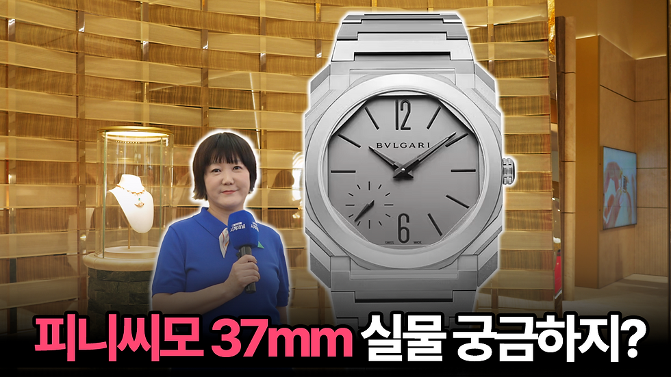몽트르 코리아