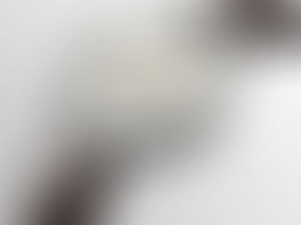 론진 플래그십 헤리티지 문 페이즈