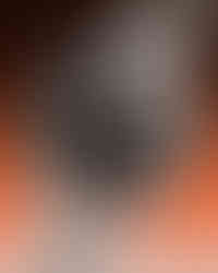 오메가 씨마스터 다이버 300M 오렌지의 다이얼.