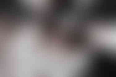 해밀턴, 펄사 출시 50주년을 기념하다