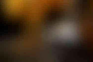 해밀턴 벤츄라 XXL 스켈레톤