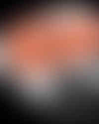 글라슈테 오리지날 세븐티즈 크로노그래프 파노라마 데이트 리미티드 에디션