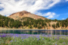 lupines-lake-and-lassen-james-eddy.jpeg