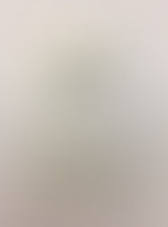 海洋教育-Dr.Shark 鯊魚生態講座