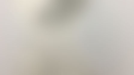 海洋教育-Dr.Shark 鯊魚生態講座