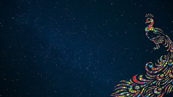 sky-peacock-3.jpeg