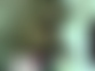 Zid Dual Audio Eng Hindi 720p