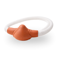 Cabeçalho (10).png