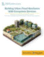 Liberty Mutual Sustainability Report: Building Urban Flood Resilience with Ecosystem Services