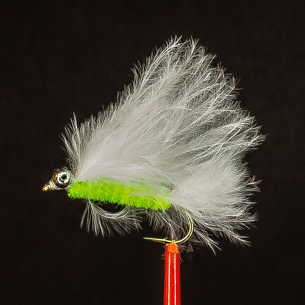 9.30.002 Cats Whisker (Bead Eye)-1.jpg