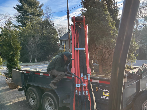 lawn care, landscaper at work, VIP Landscaping, landscaping services