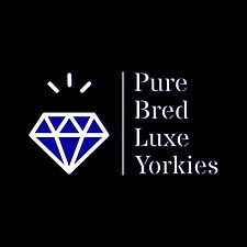 WhatsApp Image 2025-02-11 at 10.10.00 AM (3).jpeg