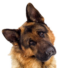 AdobeStock_2923969772.png