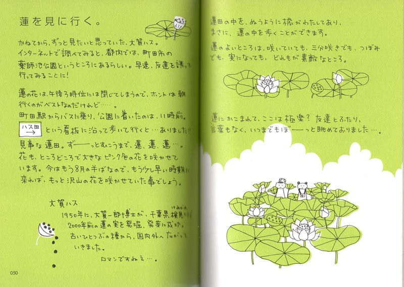 月波5