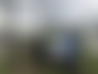 Local Brownie Support