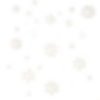 snowflakes over an off white background.jpg