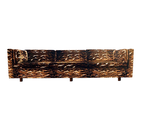 edited tiger sofa (1).png