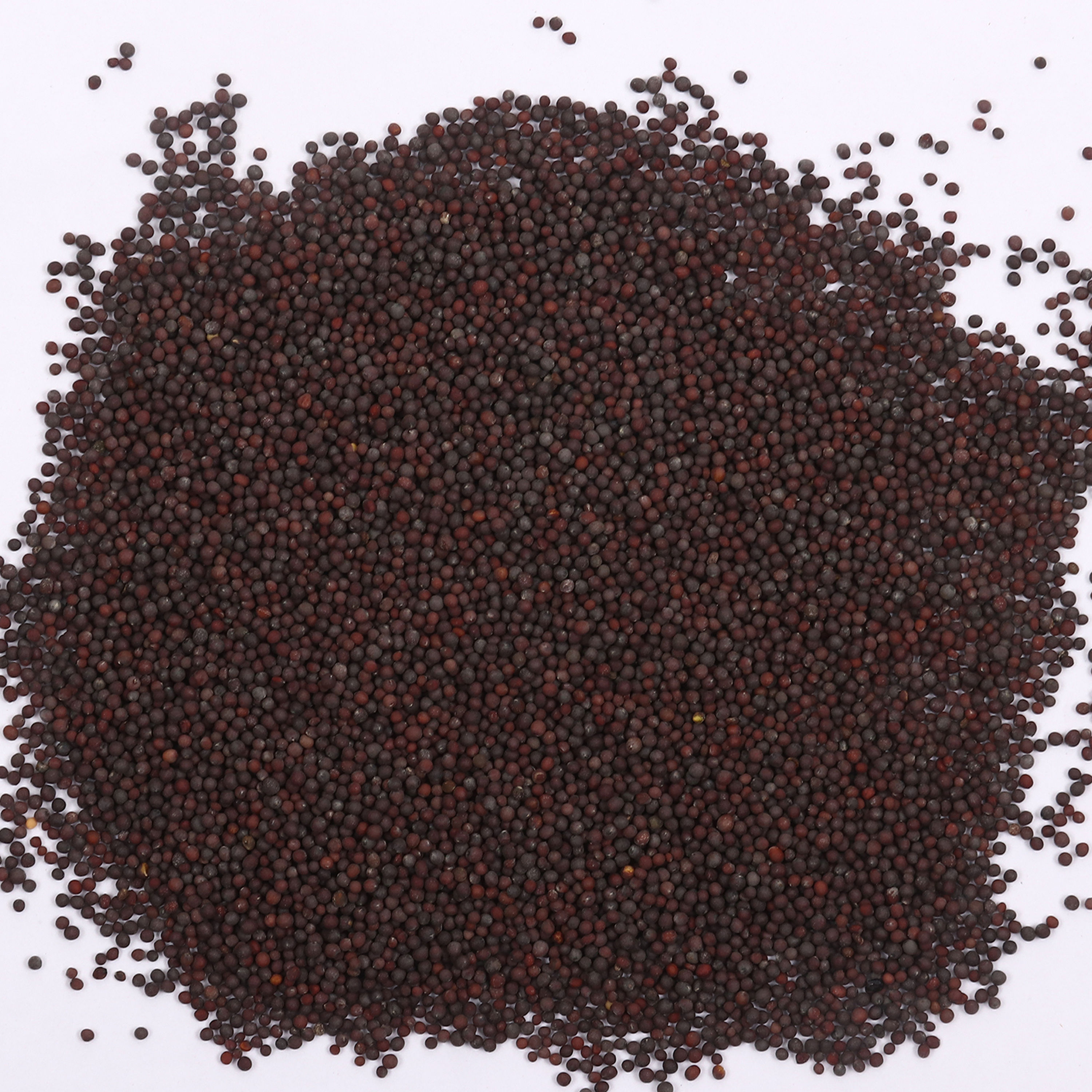 Mustard Seed Black | Rai | 200g