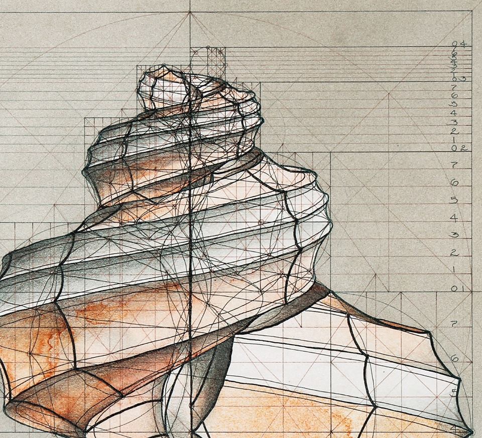 Quadratic growth | Rafael Araujo artist
