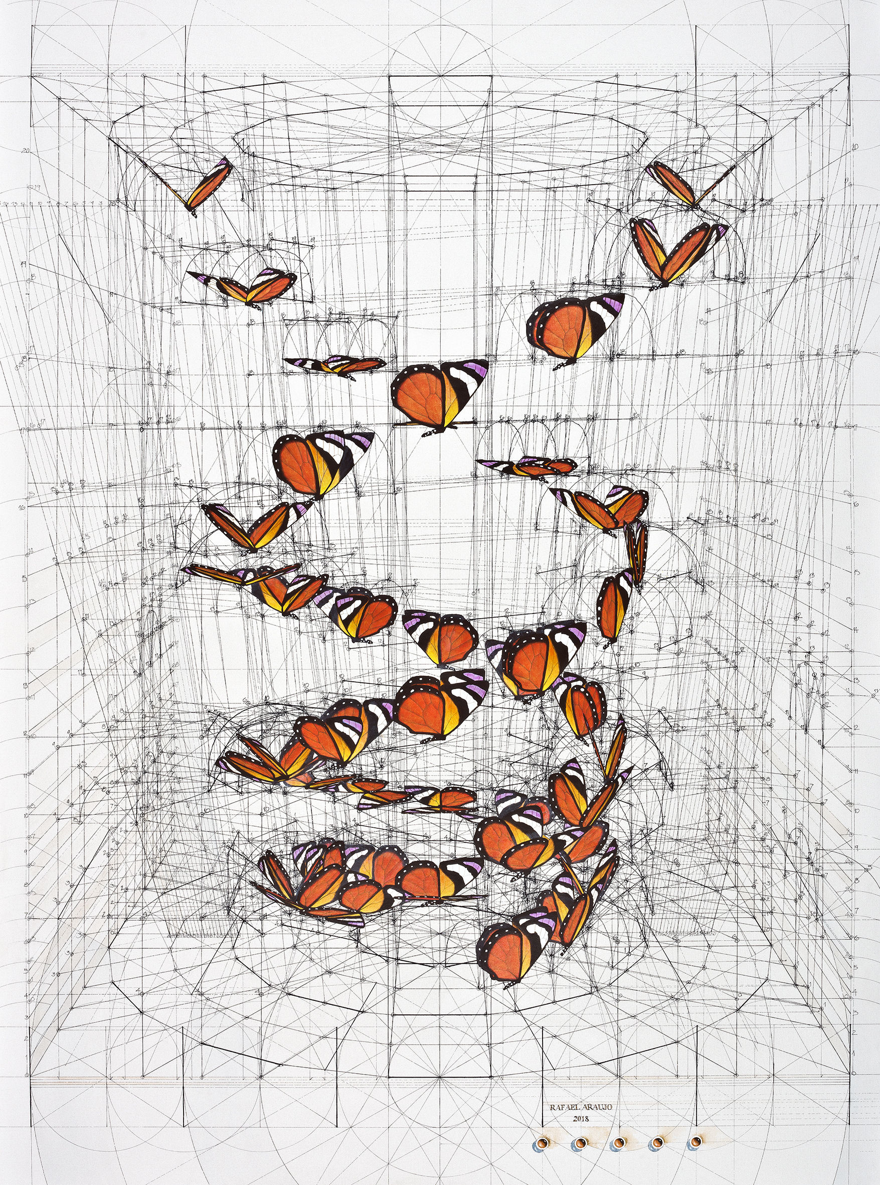 SLIM CONE DOUBLE HELIX II