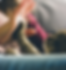 Image (6).png