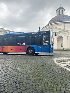 IMG_2075 2_edited.jpg