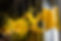 AdobeStock_342354566.jpeg