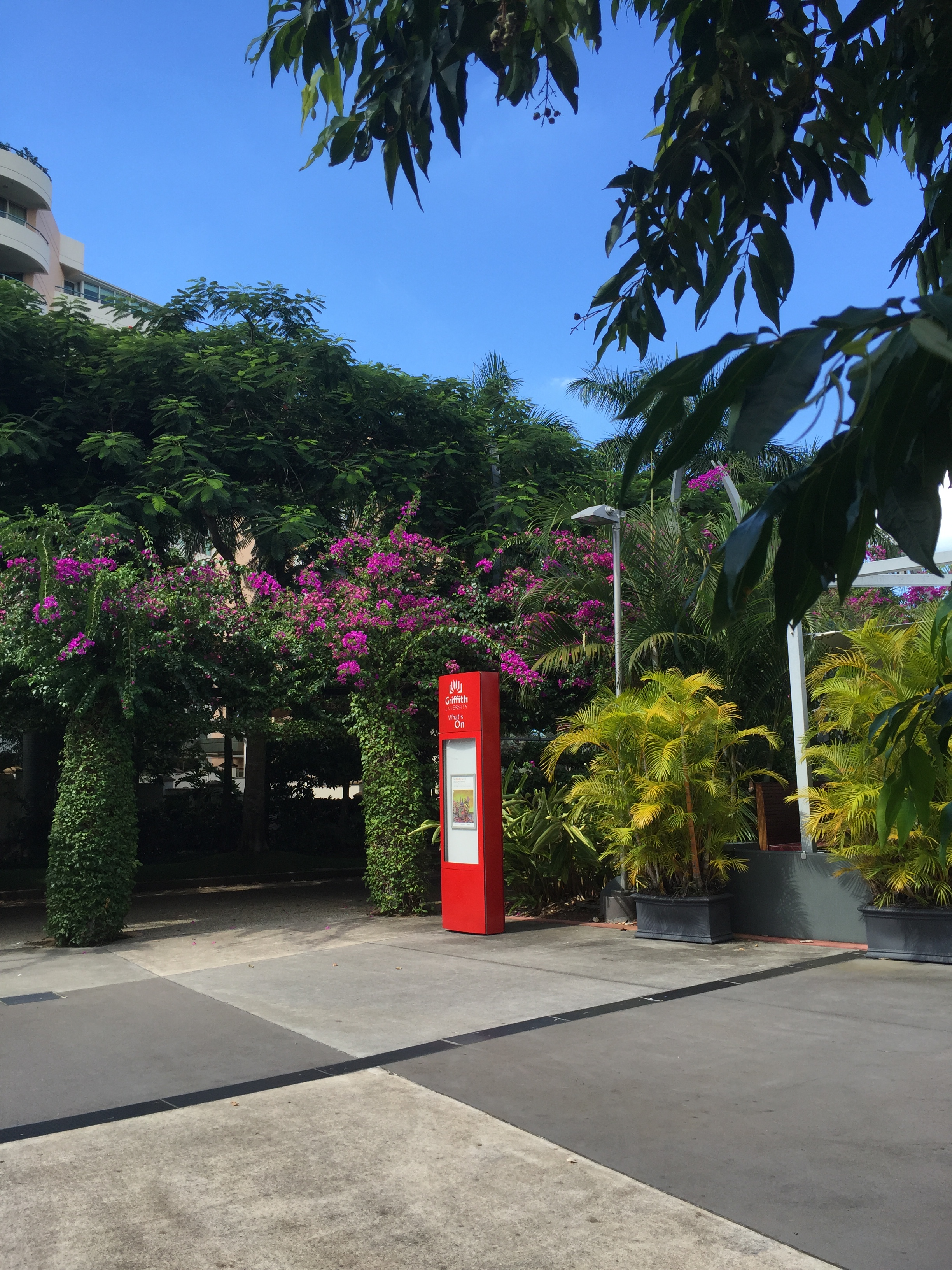 QLD GRIFFITH UNI