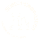見逃し動画配信中-23_edited.png