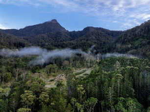 Mt warning [property