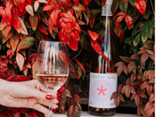 Rose wine winner