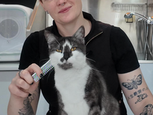 THE HIDDEN TRUTH ABOUT CAT GROOMING: LICKING ISN’T ENOUGH, SAY EXPERTS