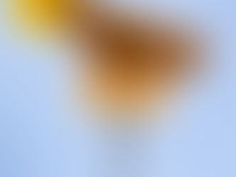 BRUNCH-INSPIRED BODY CARE TRENDS AS SUNDAE BODY LAUNCHES NEW SHOWER FOAM COLLECTION