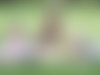 MORE WOMEN JOINING REAL ESTATE – AND THEY’RE DOING IT ON THEIR TERMS