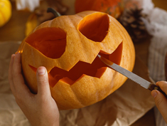 PUMPKIN PANIC: WHY YOUR HALLOWEEN DECOR COULD TURN INTO A PEST PARTY