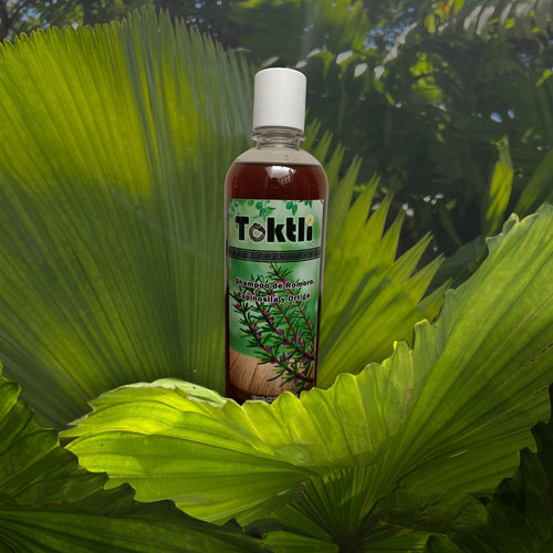 Shampoo de Romero, Espinosilla y Ortiga 500 mL Toktli