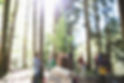 Tree Planting