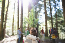 Tree Planting