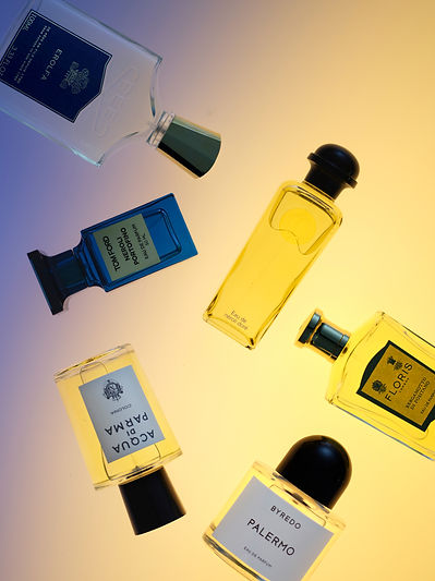 Website Template _0003_Fragrances V1.jpg